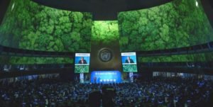 A voice of 16 year old climate and environmental activist at U.N. Climate Summit 2019 is enough to awake you